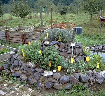 image-783